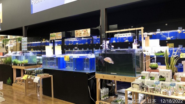 ホームセンターコーナン知立店 知立市長篠町 地域最大級の品揃え ギャラリエアピタの裏にある 大型ホームセンター かわうそ だもんで