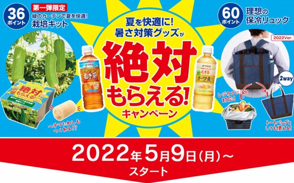 売れ筋ランキングも掲載中！ 麦茶 72ポイント 応募マーク agapeeurope.org