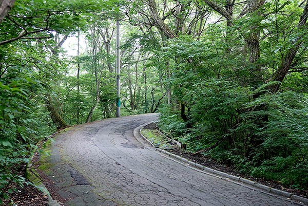 わたしの好きな軌道跡（2） 鶴溜 その2 : 草軽電鉄の記憶：火山山麓