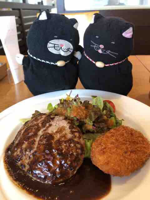 クロは ランチにハンバーグとコロッケ Coco S でぶねこ クロの一言blog