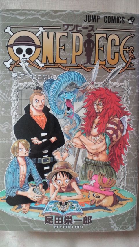 One Piece 31 ｍｅのthe Journey Of Life 人生の旅