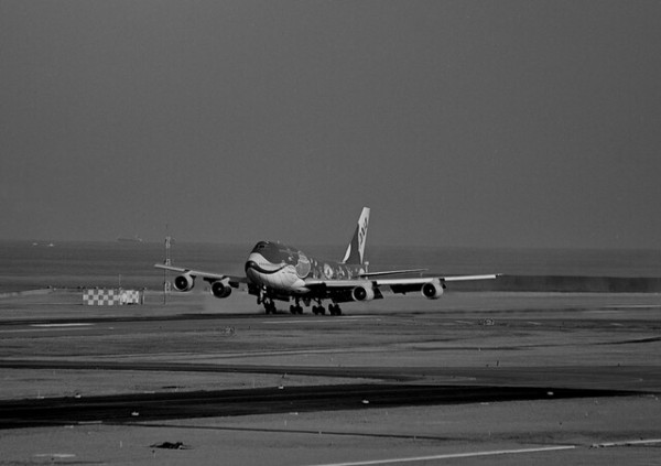 ANA B747-400D「JA8963」マリンジャンボ : THE ALIENS NEST