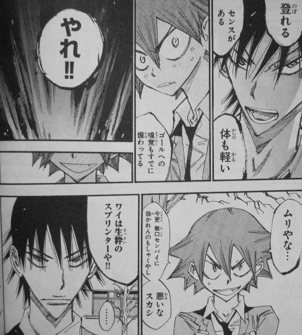 弱虫ペダル 第29巻 今泉が突きつける現実 鳴子の選ぶ道は 3階の者だ 弱虫ペダル 第29巻 今泉が突きつける現実 鳴子の選ぶ道は 3階の者だ