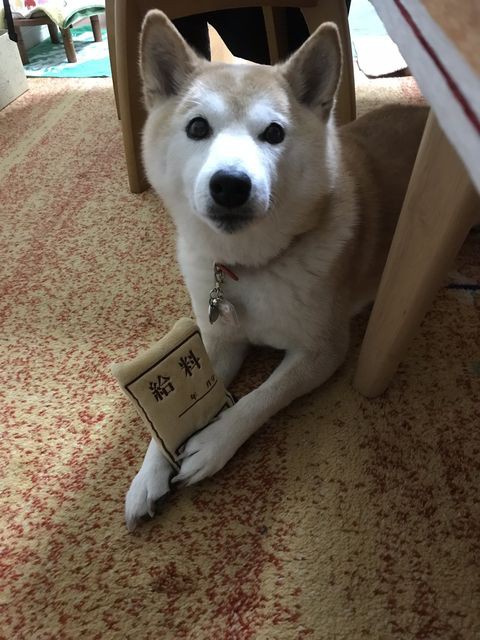 休むことも必要だ The Writer Again