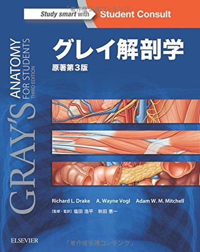 グレイ解剖学 原著第3版 電子書籍 日本語版 英語版 付 本 を Pdf 化 する サービス 本 Pdf化 非破壊