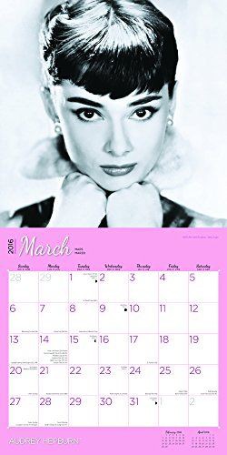 ブラウントラウト 16年 カレンダー 壁掛け オードリー ヘップバーン 16 Zb 本 Pdf 比較 本 Pdf化 非破壊