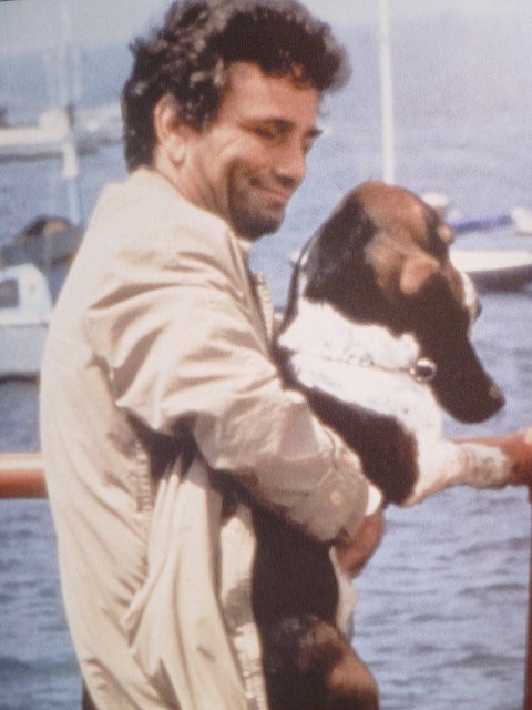 決め手は嗅覚 Columbo Dog コロンボと愛犬 映画 音楽 いい男たち