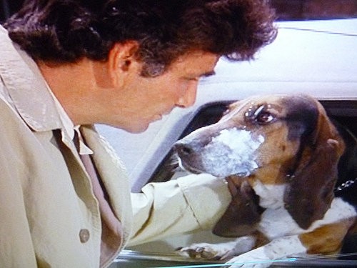 決め手は嗅覚 Columbo Dog コロンボと愛犬 映画 音楽 いい男たち