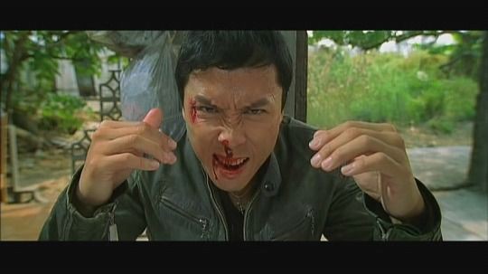 ある意味ドニー イェンの最高傑作かも アクション映画の頂点を目撃せよ 導火線 Flash Point ひたすら映画を観まくる日記アルティメット エディション