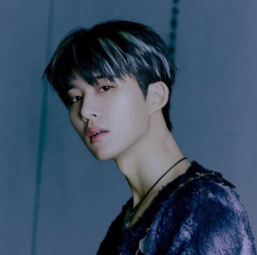 Ticketmarket 韓流便り B Iがグローバルアルバムプロジェクトの開始を告知 韓国のコンサートチケット代行専門 Ticketmarket チケット マーケット