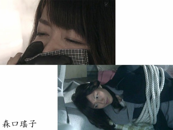 森口瑤子　エロ 
