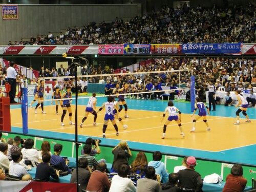 全日本な日々 世界戦略とギャップ 全日本女子バレーボールの今日 そして明日 東京オリンピック編