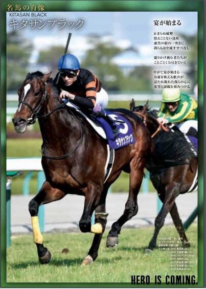 大阪杯 馬鞍の走誌