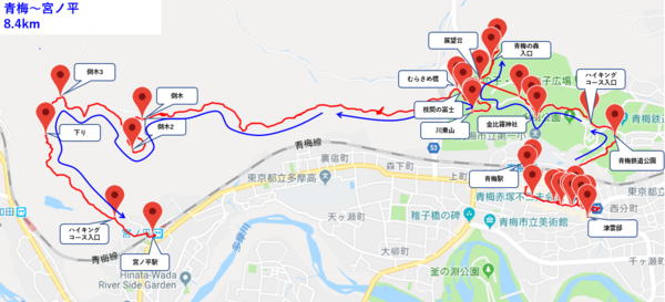 2018 12 30 青梅丘陵 御岳渓谷 Paperdiverのblog
