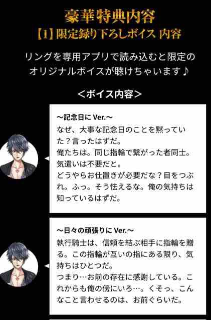 リュオンさんが壊れた 黒猫のウィズ たまえよディートリヒプレイ日記