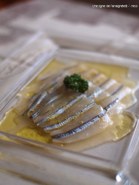 細魚 さより のカルパッチョ 44食堂 よんよんしょくどう 滋味ごはん ときどき甘味 細魚 さより のカルパッチョ 44食堂 よんよんしょくどう 滋味ごはん ときどき甘味
