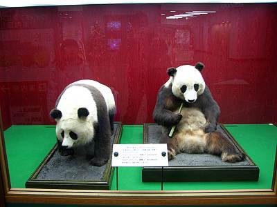 多摩動物公園 ランラン・カンカンの剥製 動物慰霊碑 : 毎日がレビュー