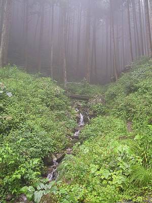 高麗川の源流 刈場坂峠 : 毎日がレビュー