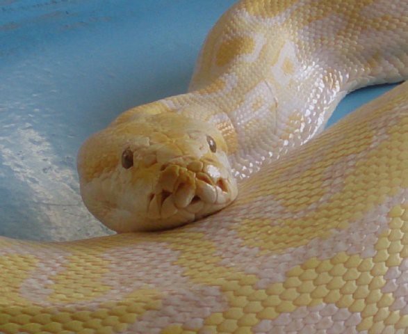 コウくんとフクちゃん 動物園の一日