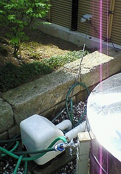 猫との戦いに決着 能登で水産加工品を作る男