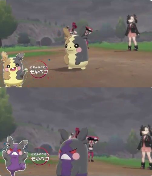 モルペコって 偽ピカチュウ枠 の中で1番かわいいよな 徒歩のポケモンまとめブログ
