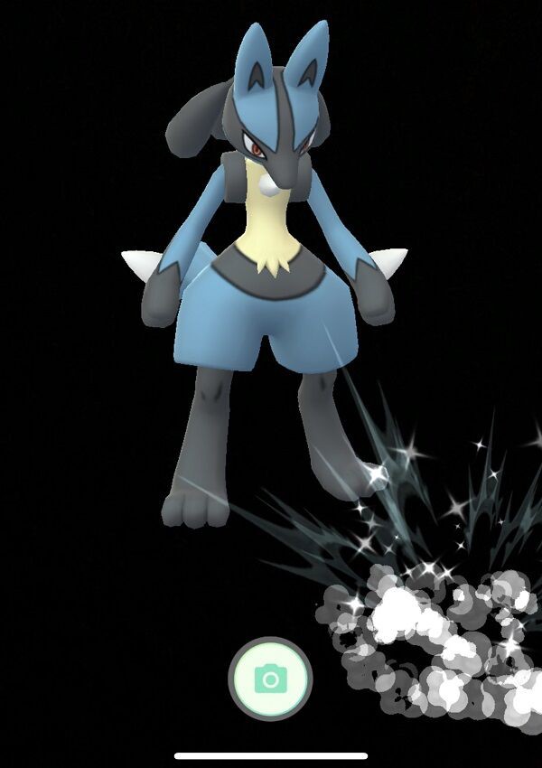 ポケgo 今現在の リオル ルカリオ の唯一の入手方法 徒歩のポケモンまとめブログ