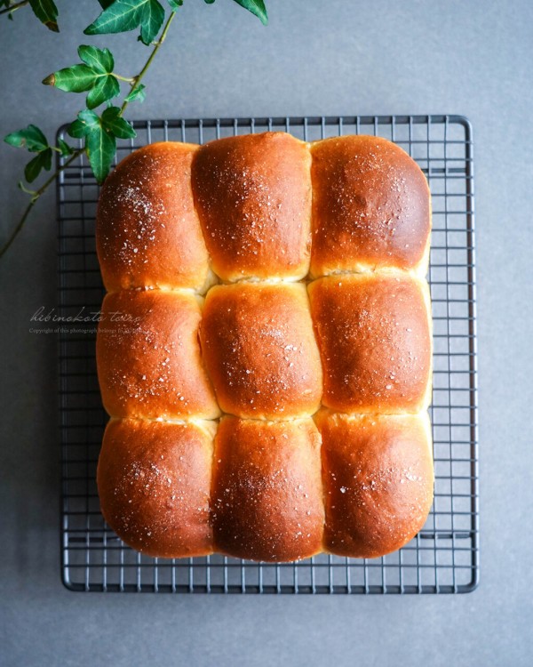 最強パン生地で作る！塩バターちぎりパン（レシピ） : トイロ公式