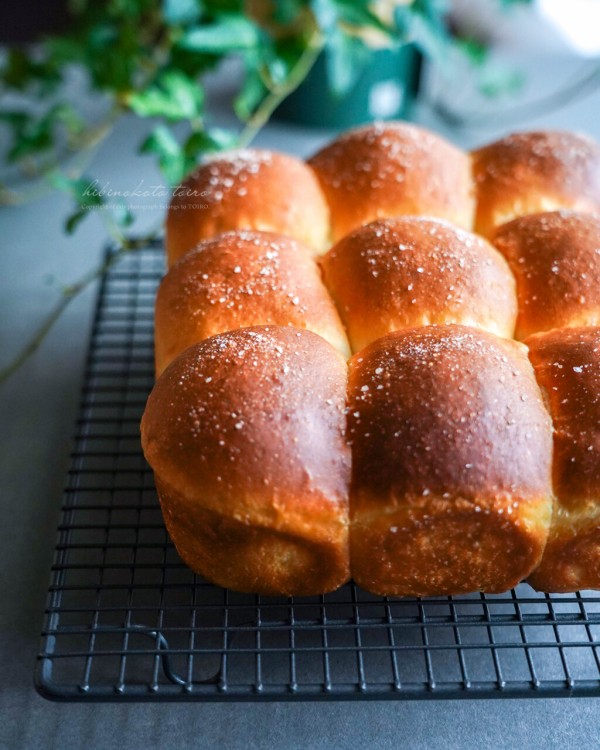 最強パン生地で作る！塩バターちぎりパン（レシピ） : トイロ公式