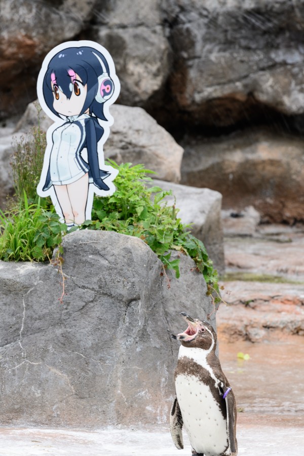 東武動物公園でとうぶフレンズに会ってきたよ 朱鷺長のフォトブログ