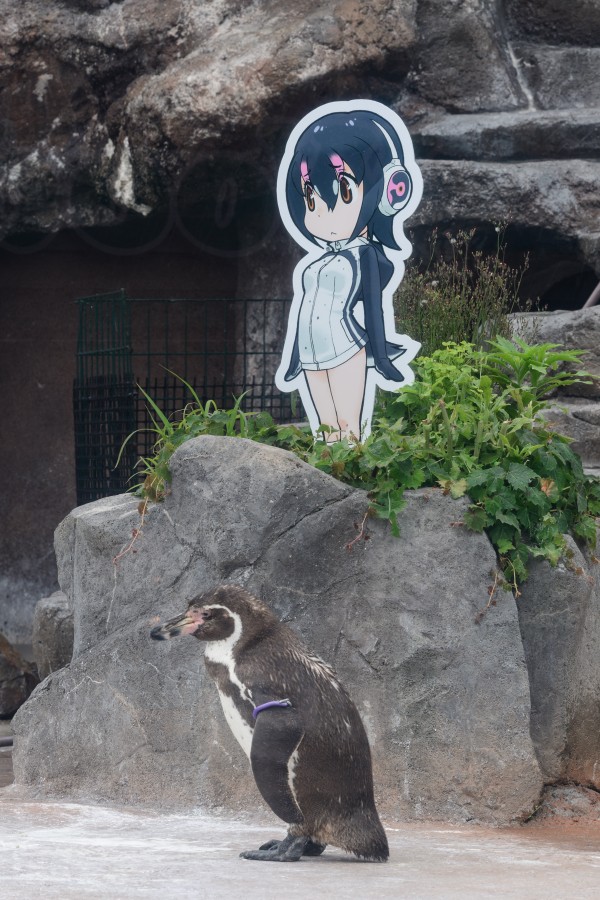 東武動物公園でとうぶフレンズに会ってきたよ 朱鷺長のフォトブログ