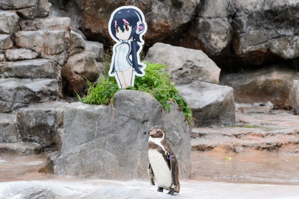 東武動物公園でとうぶフレンズに会ってきたよ 朱鷺長のフォトブログ