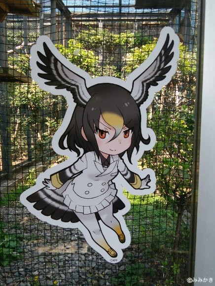 けものフレンズ のんほいパークに行ってきました エレガントショプ時子
