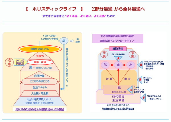 動物としての人間の原点は 口から肛門までの一本の腸管 人生という名の遊び場で いま ここを活かされ すてきに活きる