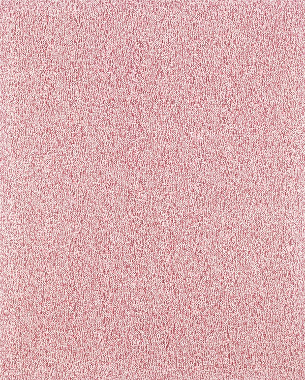没後25年・広島市現代美術館で「殿敷侃展」2017年3月18日～5月21日