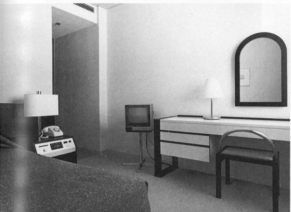 筑波第一ホテル　倉俣史朗　椅子・ソファ 倉俣史朗と筑波第一ホテル : ギャラリー ときの忘れもの