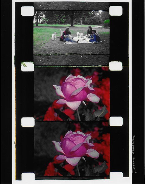 ジョナス・メカスさん90歳を迎える : ギャラリー ときの忘れもの