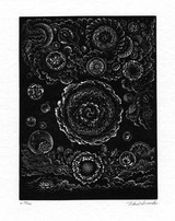 緑の導火線 詩画集 ディラン・トマス ／ 日和崎尊夫 緑の導火線 詩画集