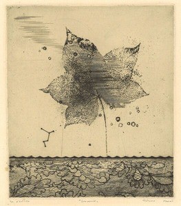 【希少】刻線の自画像　駒井哲郎 駒井哲郎―煌めく紙上の宇宙 | 横浜美術館 | 美術館・展覧会情報