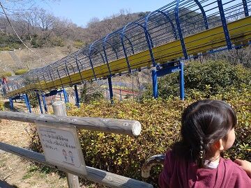 金沢自然公園 カピバラ家族