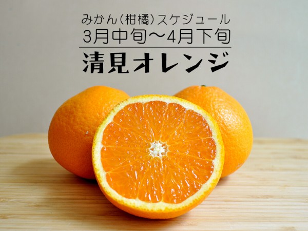みかんページ 分かりやすい】みかんの旬の時期をまとめました2 : 農家の