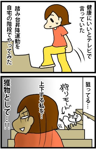 踏み台昇降運動 あぁ トマコの生きる道 Powered By ライブドアブログ