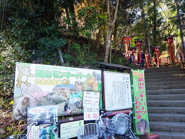 紅葉の嵐山を飲んで食べて歩く 関西女のプチ日記 Powered By ライブドアブログ