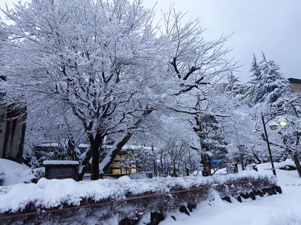 美しい雪の宇奈月温泉街ゆるり散策 関西女のプチ日記 Powered By ライブドアブログ