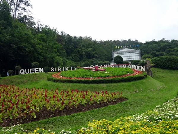 Amazing Thailand チェンマイ観光 植物園で花と緑と山に癒される 関西女のプチ日記 Powered By ライブドアブログ