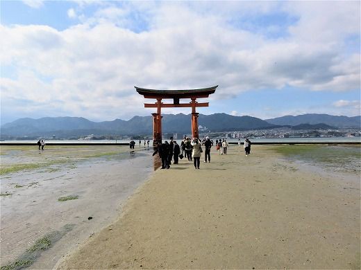 厳島神社鳥居まで歩く時の靴 オファー