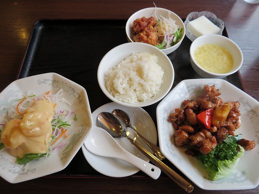 中華料理パンダの豪華なランチ パンダdx デラックス セット 旅 食 酒 そして猫