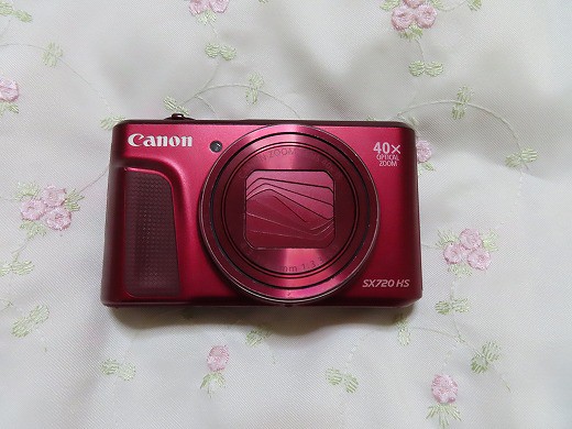 念願だったカメラの買い替え☆canonパワーショットSX720HSから740HSへ☆ : 旅・食・酒・そして猫