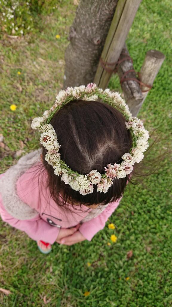シロツメクサの花かんむりと上靴 甘えんぼトイプー あんちゃんと雑記2