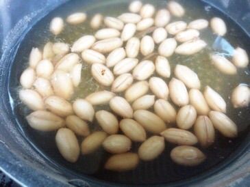 生落花生との旅 おいしいものをこよなく愛す