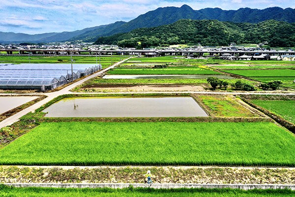大人の社会科見学 香川の畑 おしゃれパッカー的なやつ